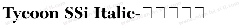 Tycoon SSi Italic字体转换